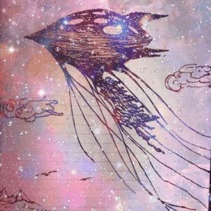 Meet your Posher, Camille